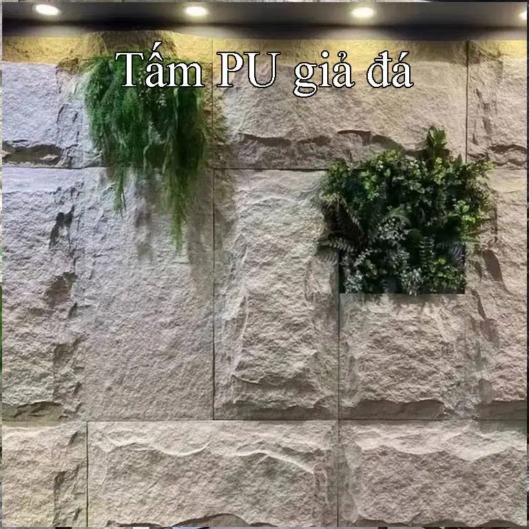 Ung dung tam pu gia da hinh3