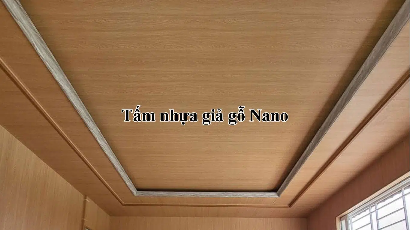 tam nhua gia go nano 1