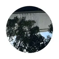 Tấm than tre trang gương đen SK034